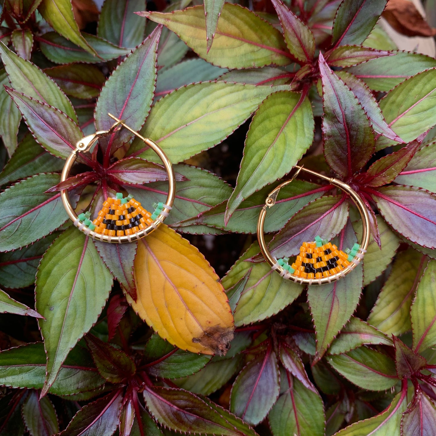 pikwasimàn small hoops