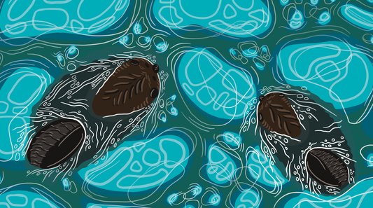 amik art print
