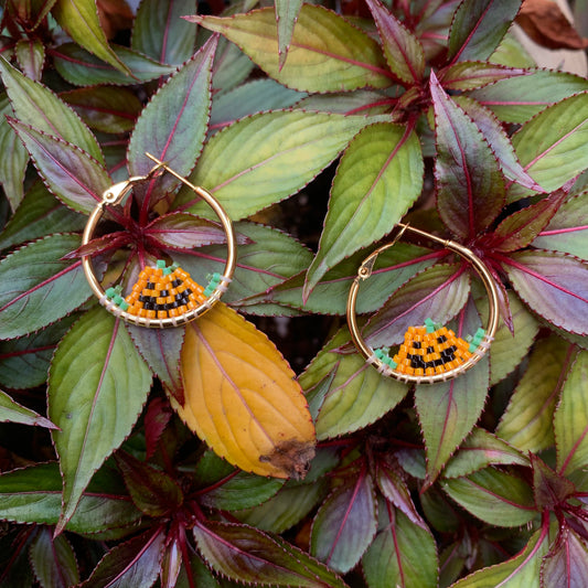 pikwasimàn small hoops
